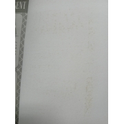 HEY! RIKI ริคิ 15 **รบกวนเลื่อนดูสภาพหนังสือก่อนการสั่งซื้อ**